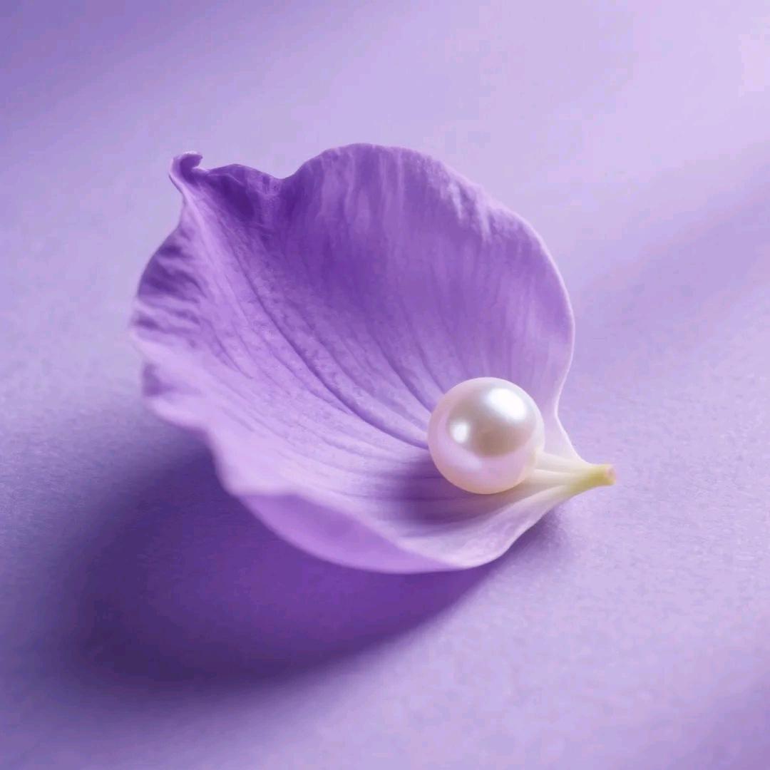 达丽圆•安逸派