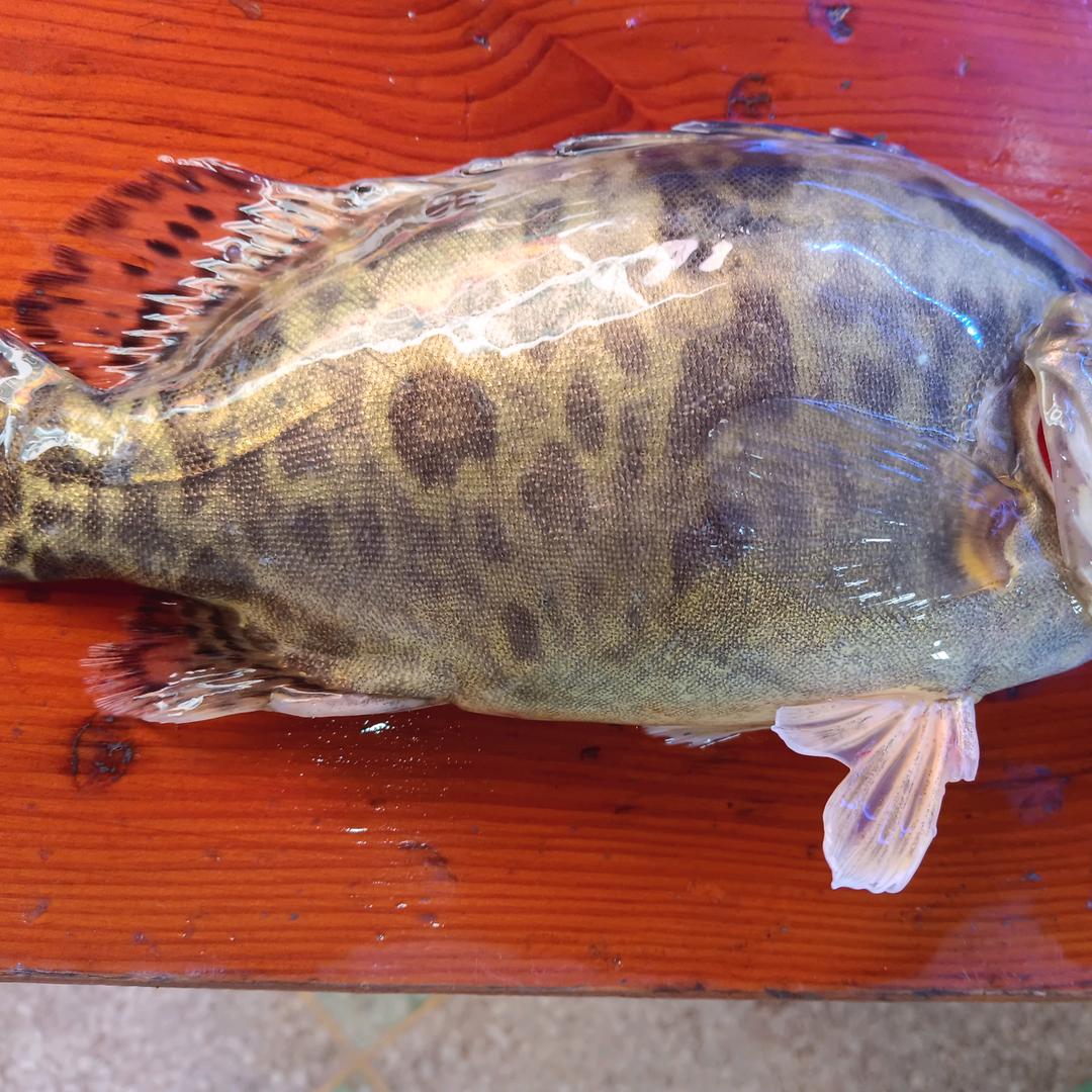 牛埠谢三野生水产