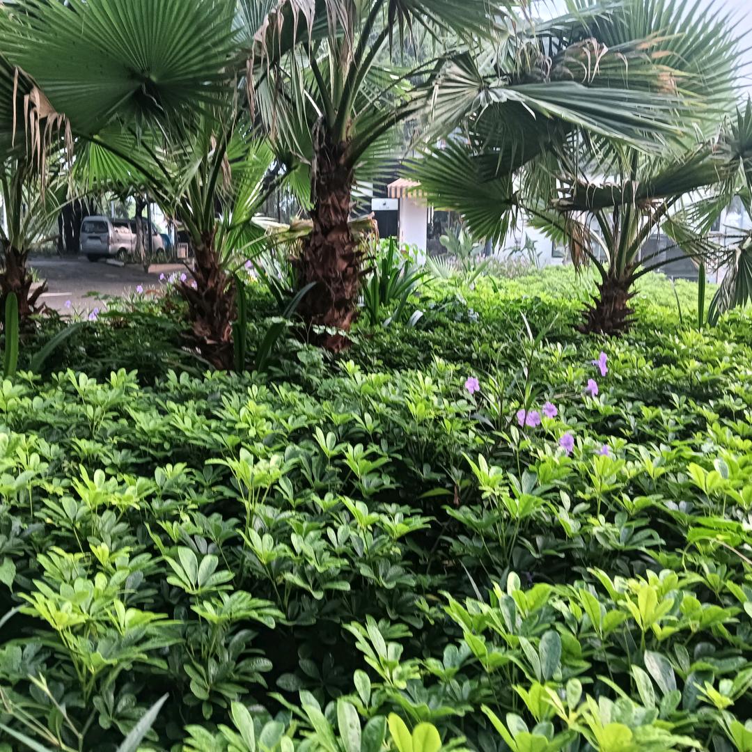 @江山万里