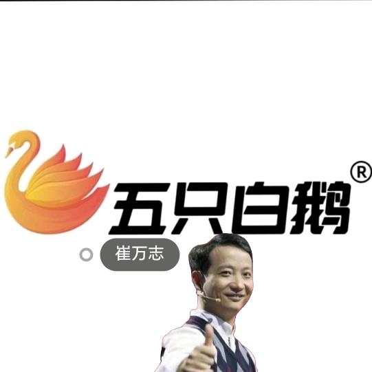 崔万志五只白鹅男女款