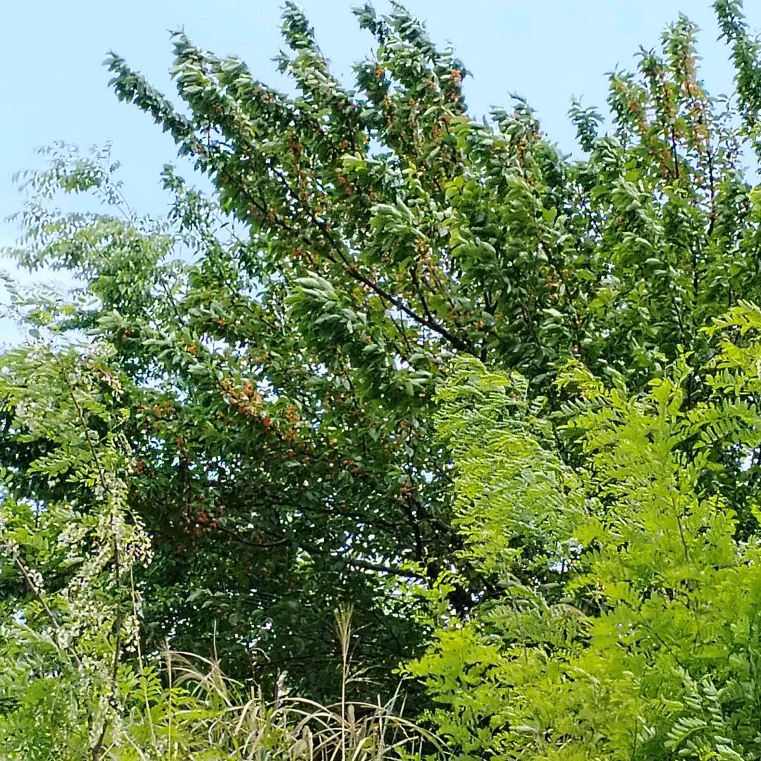 ，夏日里的阳光，冬日里的明媚