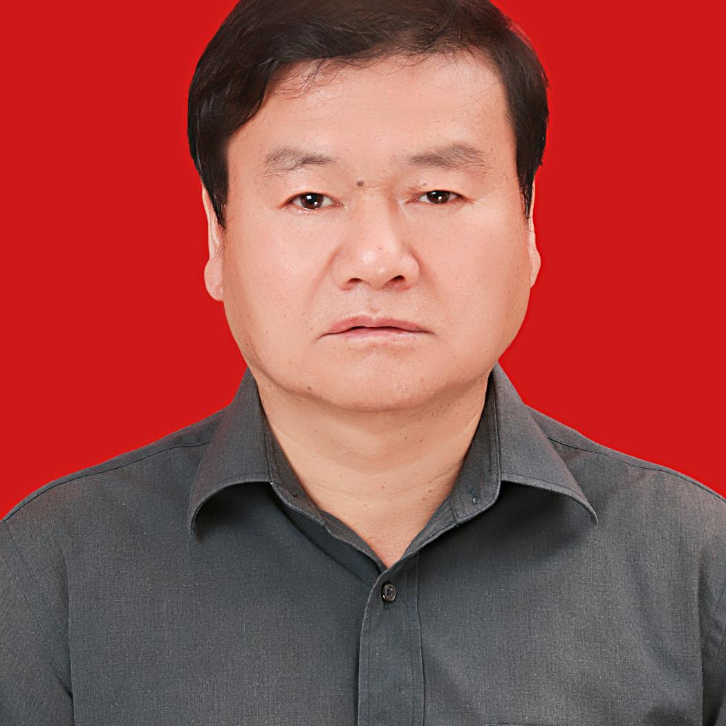 森林大地