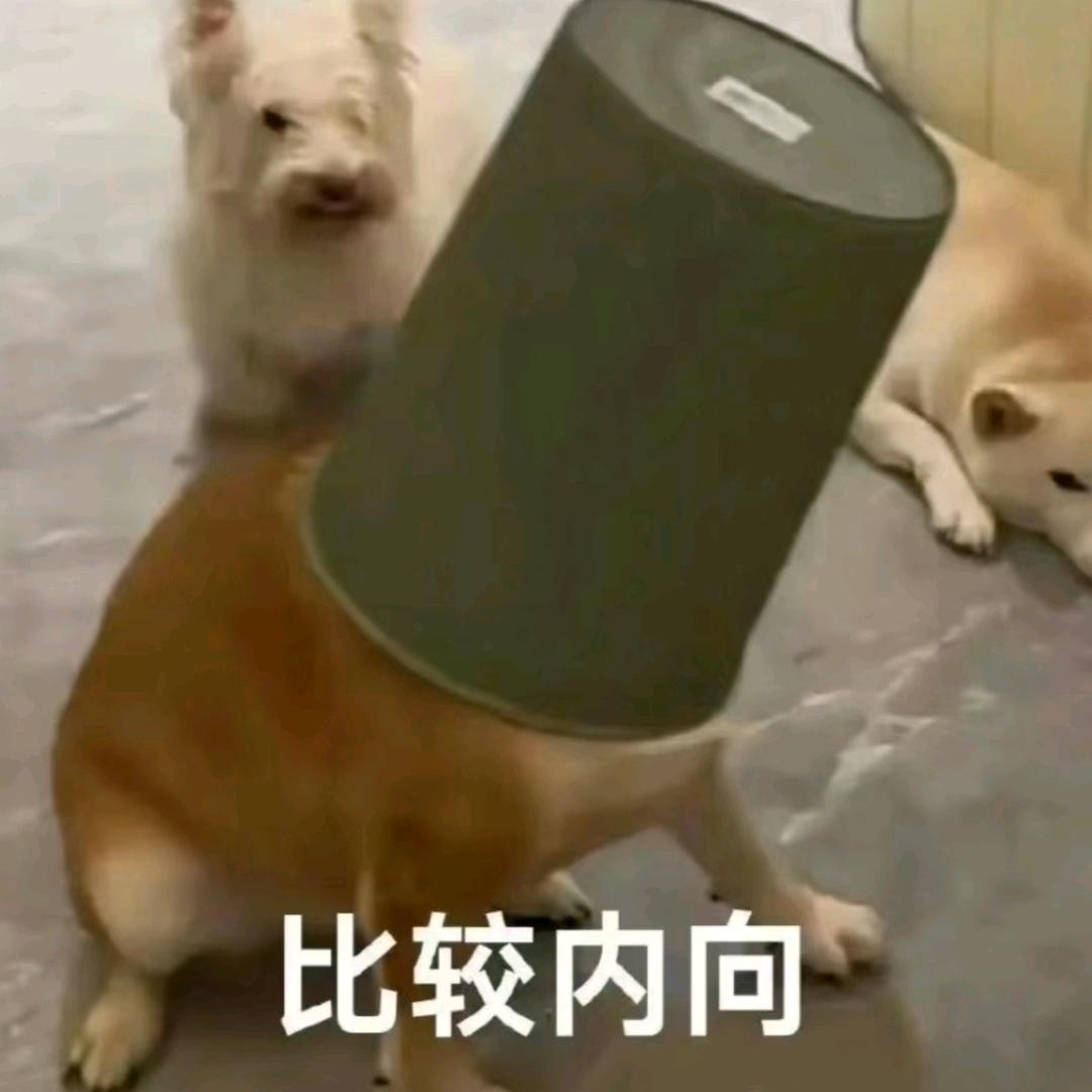 诞枭（连赞两条以上拉黑）
