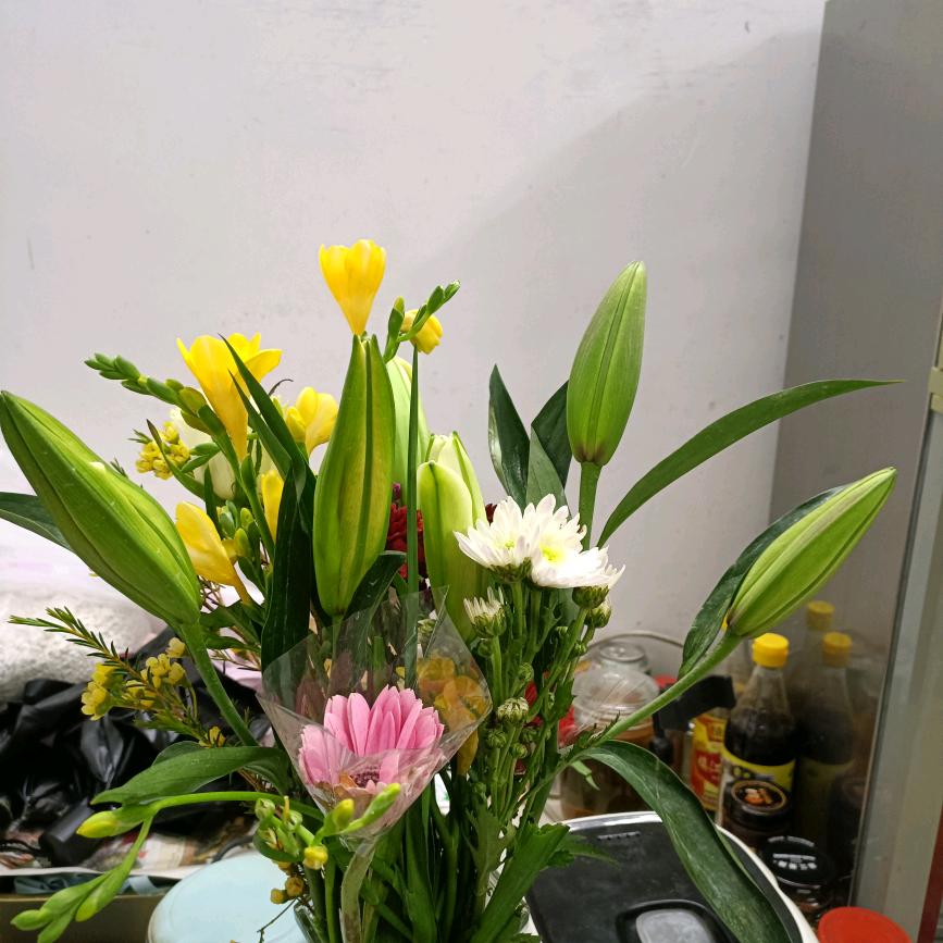 一只快乐《小海欧》