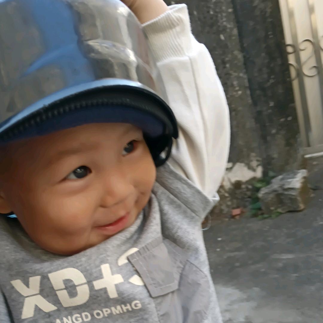 爱心形的小蜜蜂