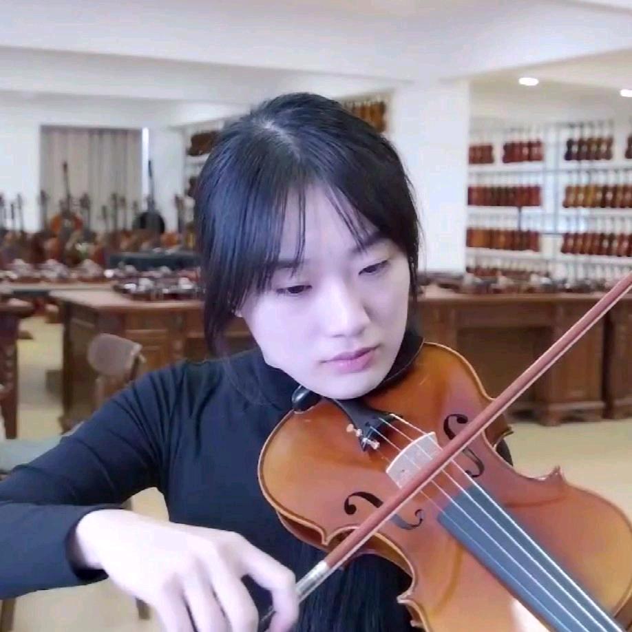 浩成小提琴