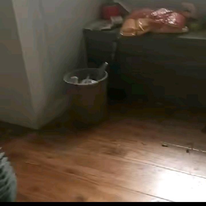 饿了吧里了没有