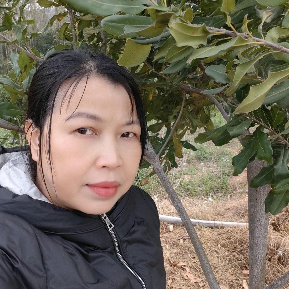 木  木