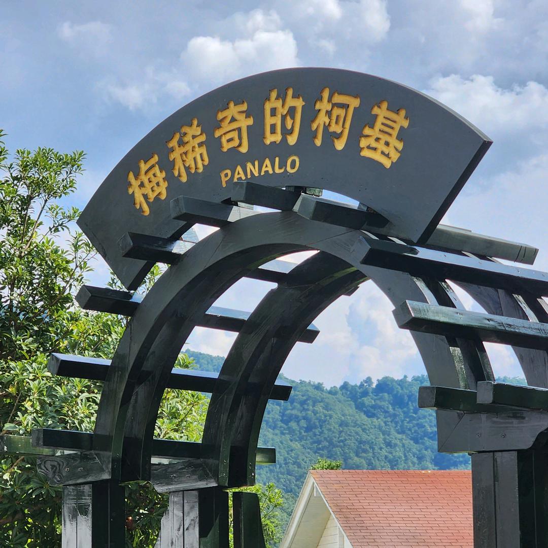 梅稀奇的柯基官方号