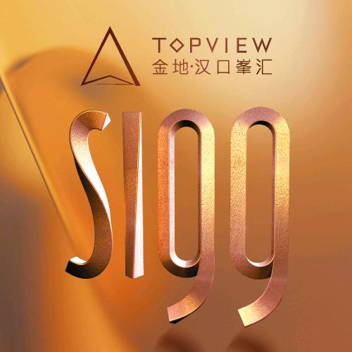 金地汉口峯汇-大客户半吨