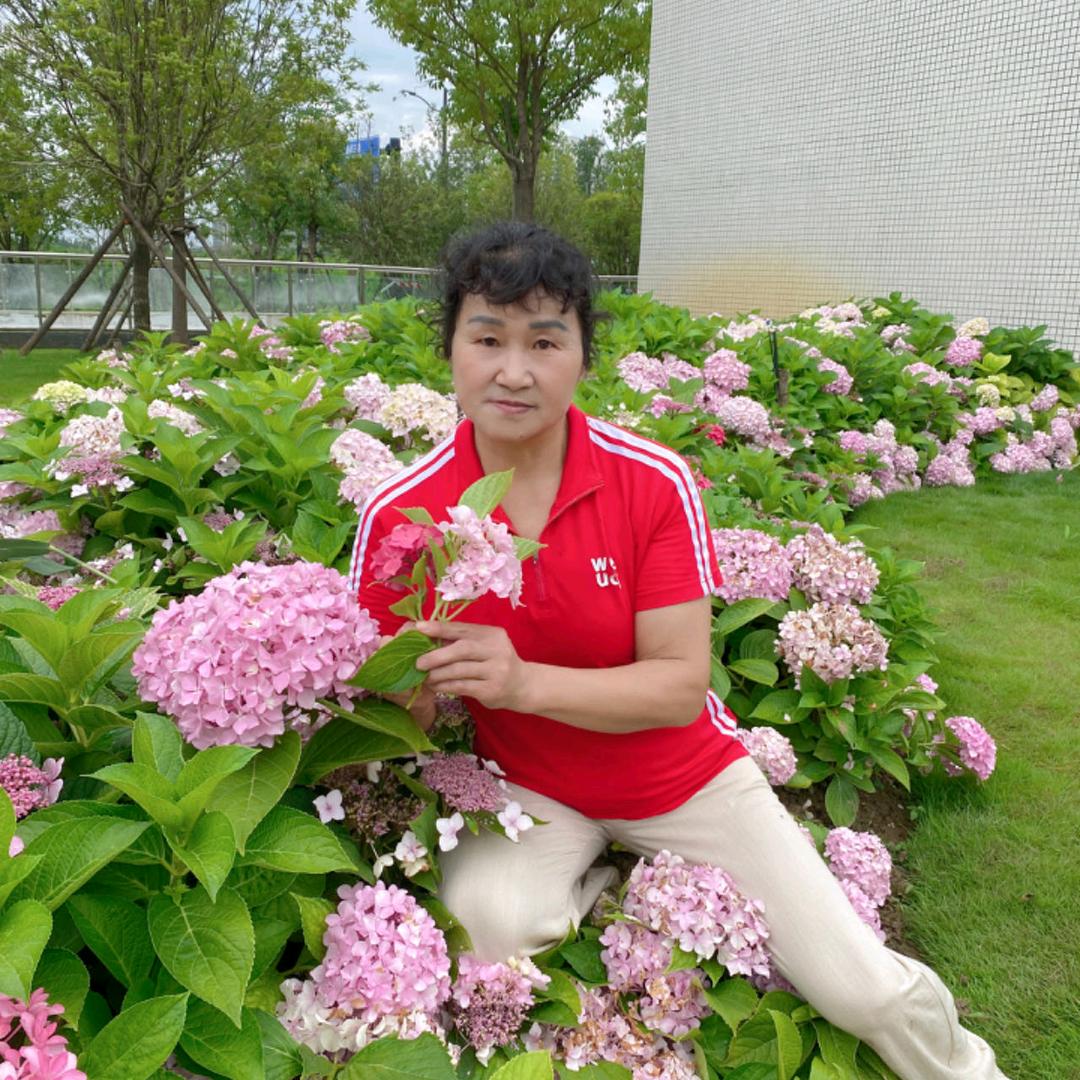 云淡凤轻