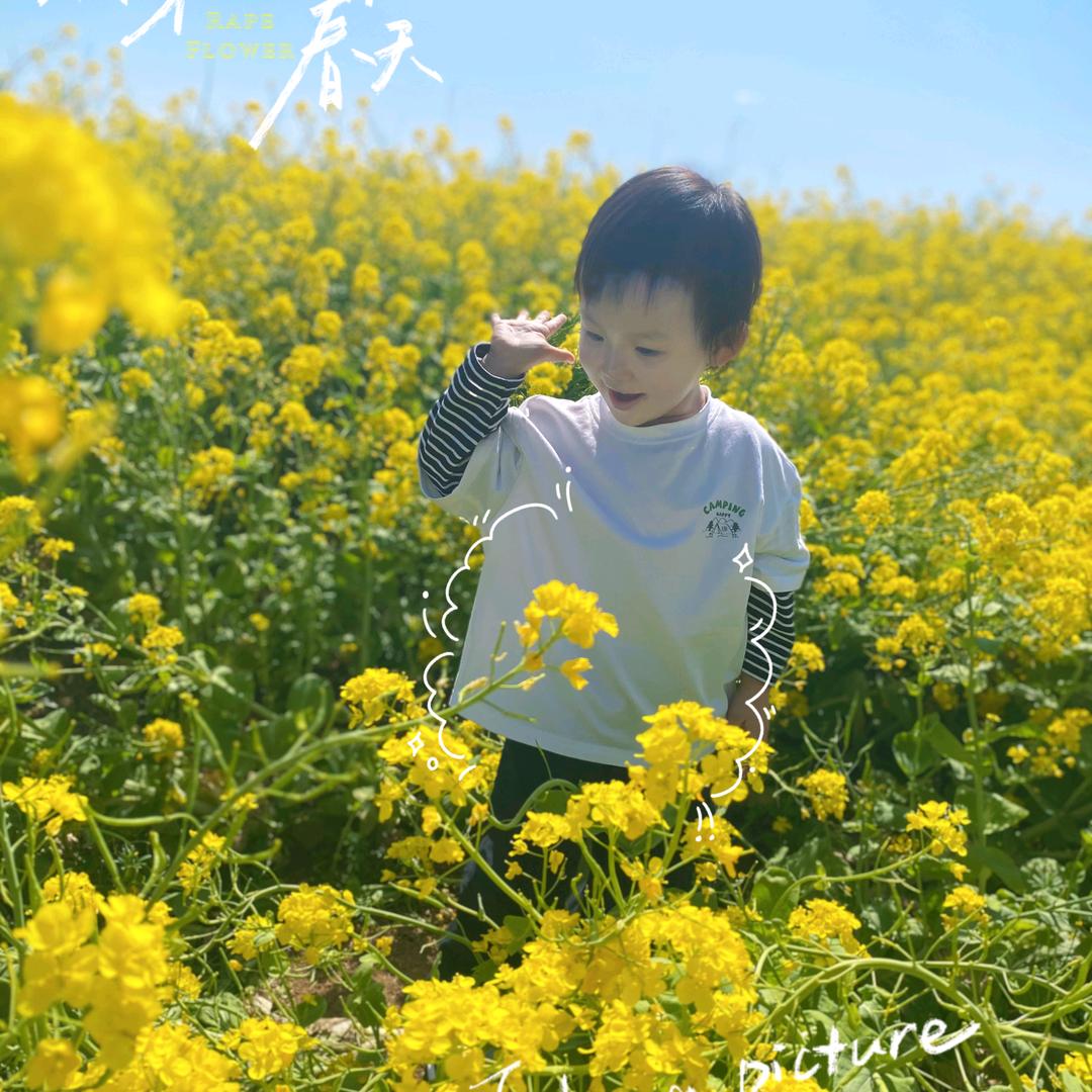 寒蝉（在路上）