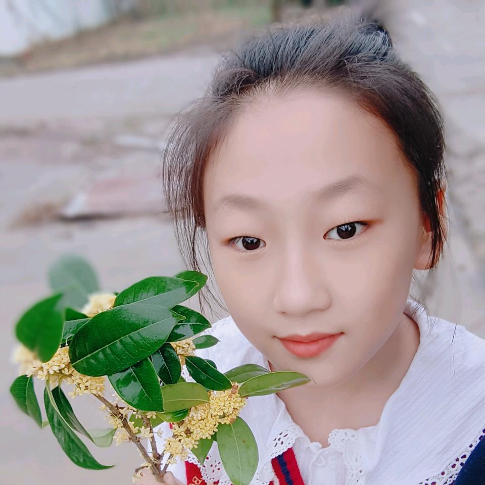 豆豆