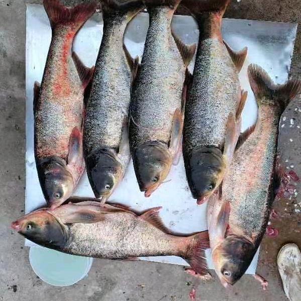 🍎家庭第一🍎7777777