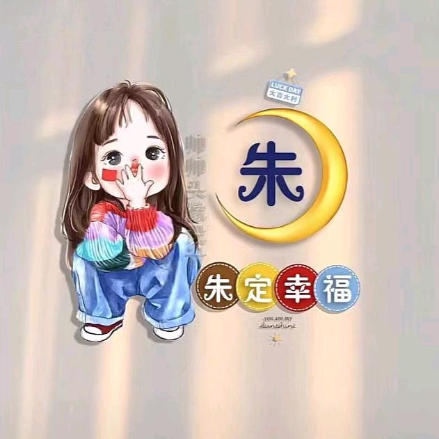 咸宁金融朱开心