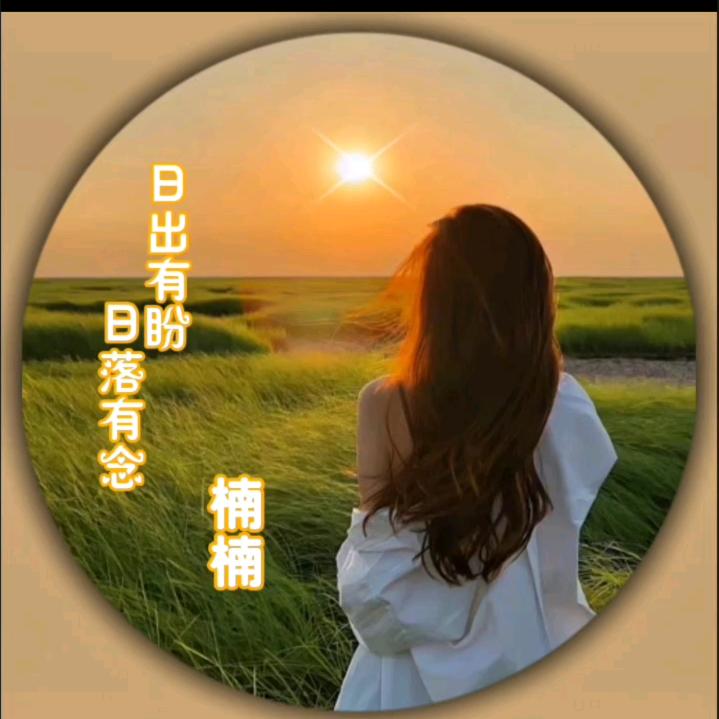 小趴蔡儿