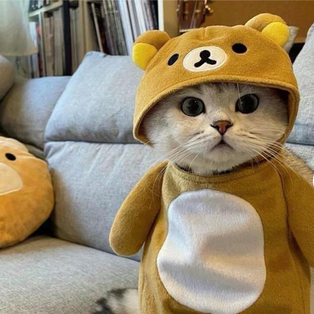 虎牙