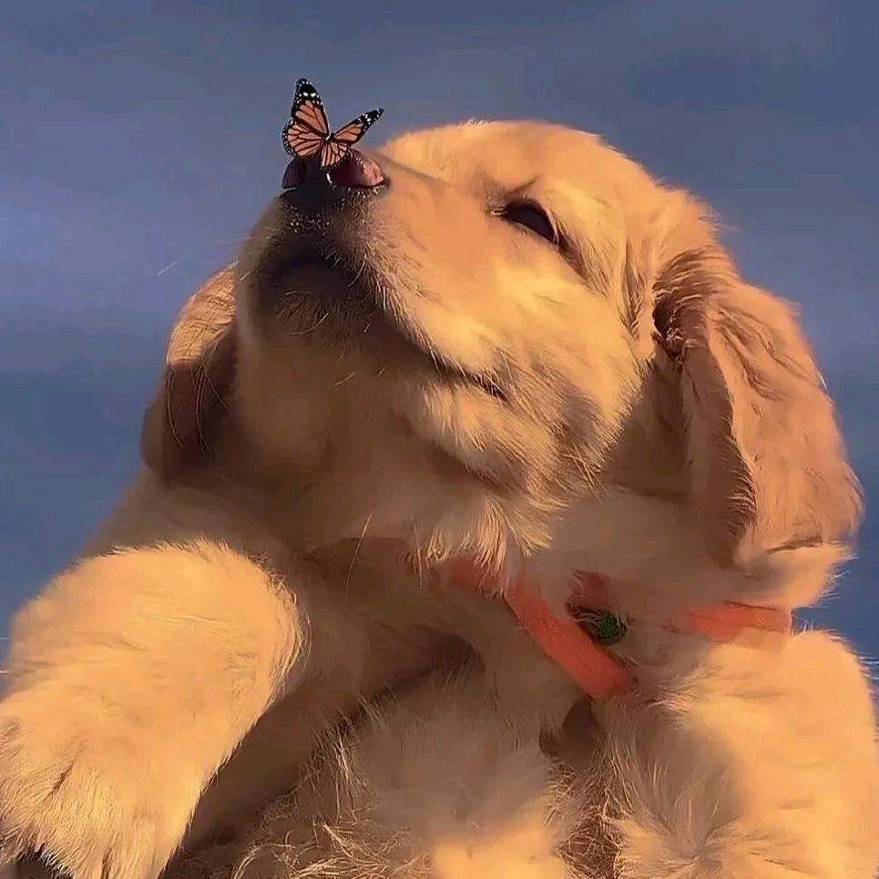 27考研不上岸不改名