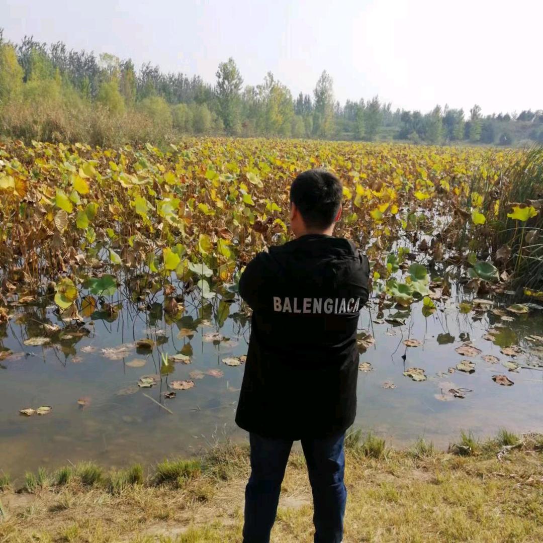 是风就该自由，要什么归宿