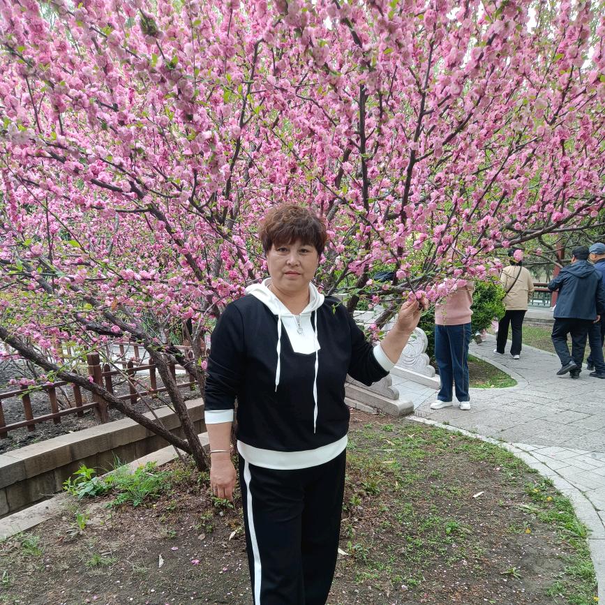 花开🌸富贵