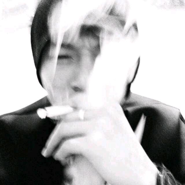 迈布斯
