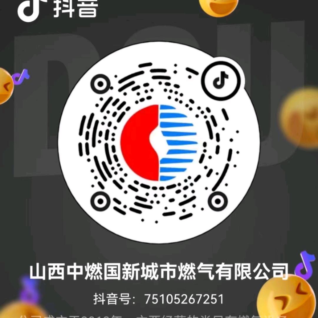 我就是海鸥