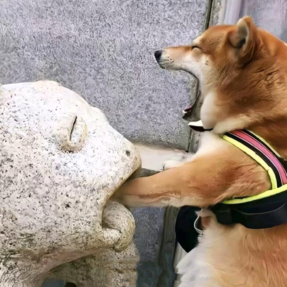 等一份日落.