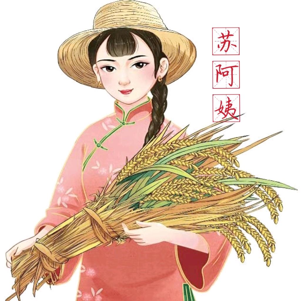 苏阿姨苏州香米（软软糯糯）