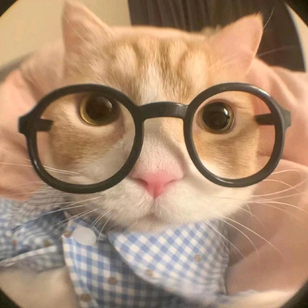 🌈哇咔咔咪西人