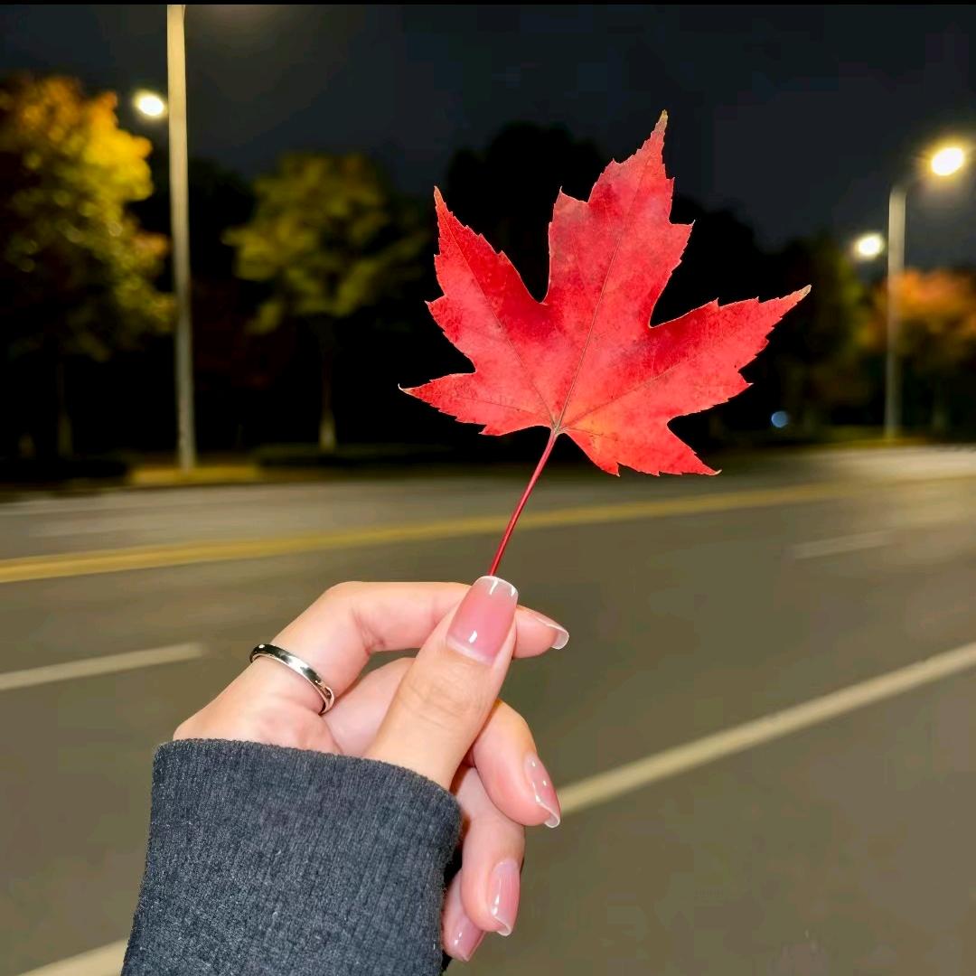 🌈གิۣۖิۣۖิۣۖิ吥凡ꦿృ༊°