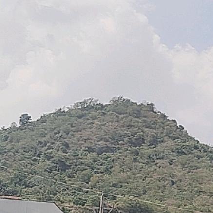 微风吹