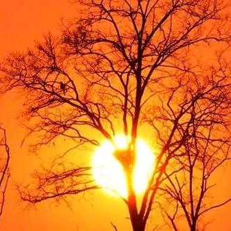 ↪️刪除記憶↩️