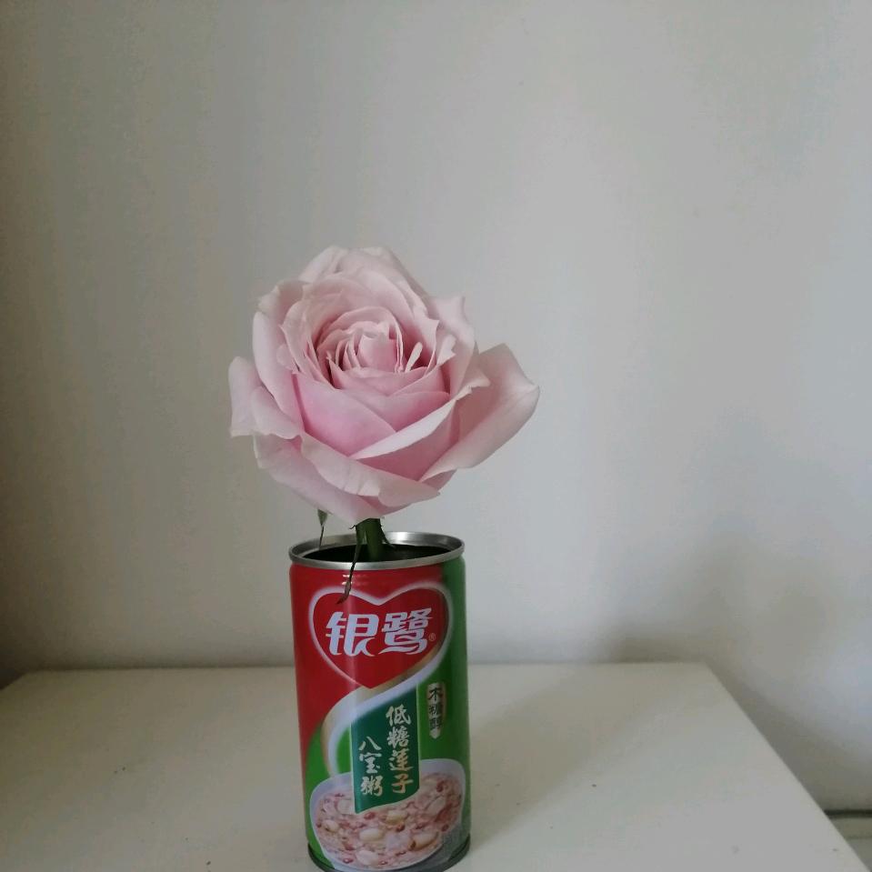 梅梅！
