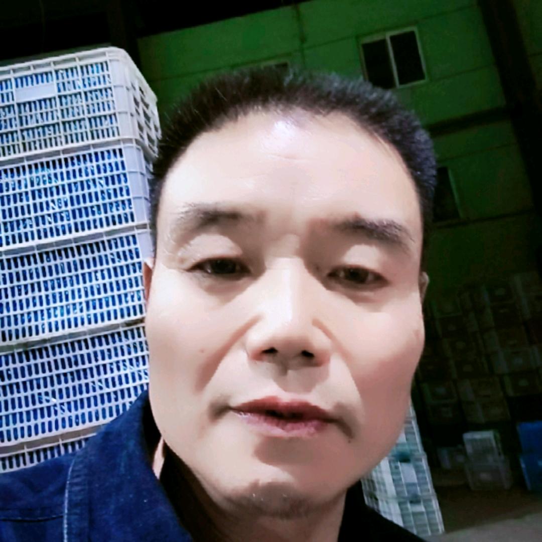 玉素凌风