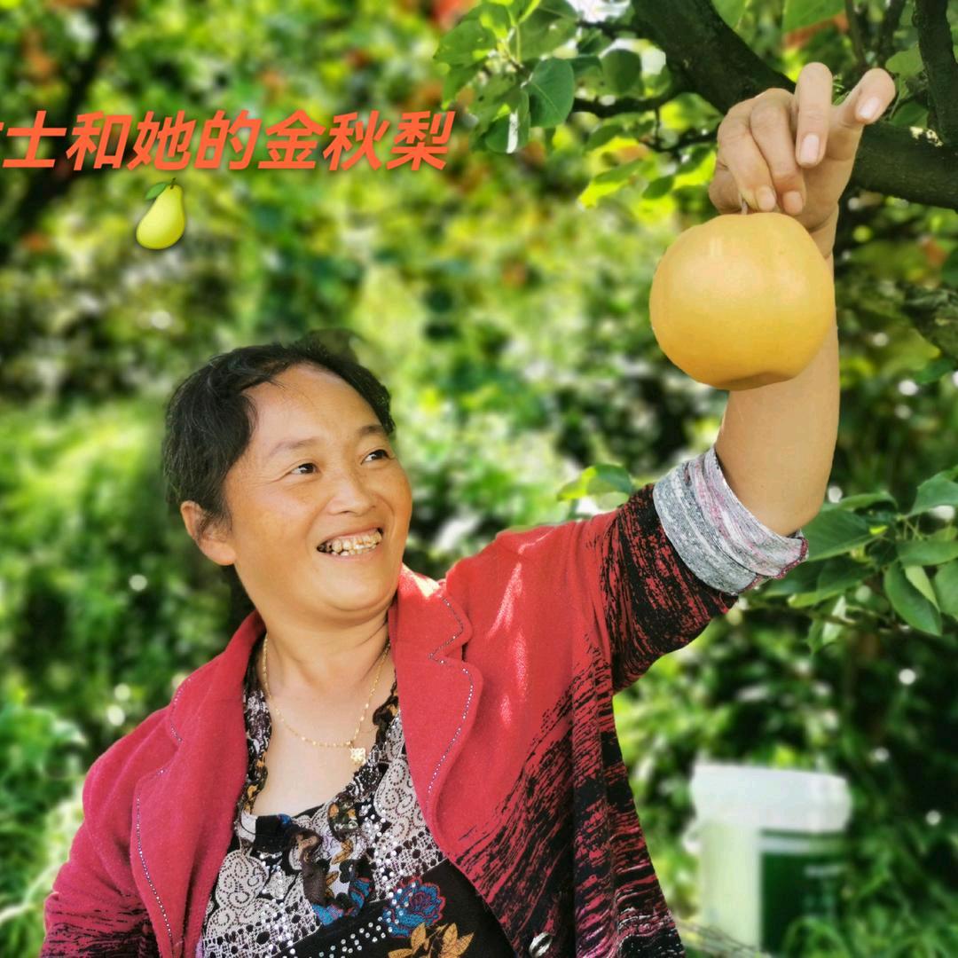 张桂兰