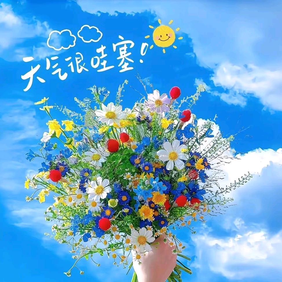 东东的东东东