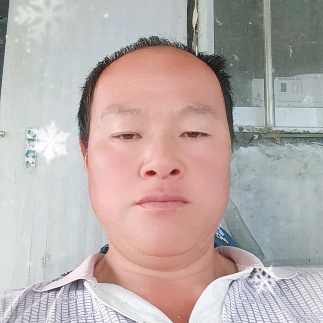 李氏生态养鹅出售鹅苗。