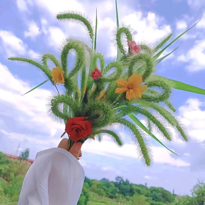 🦋ꦿ໊浅笑᭄🕊安然᭄ꦿᩚ٭