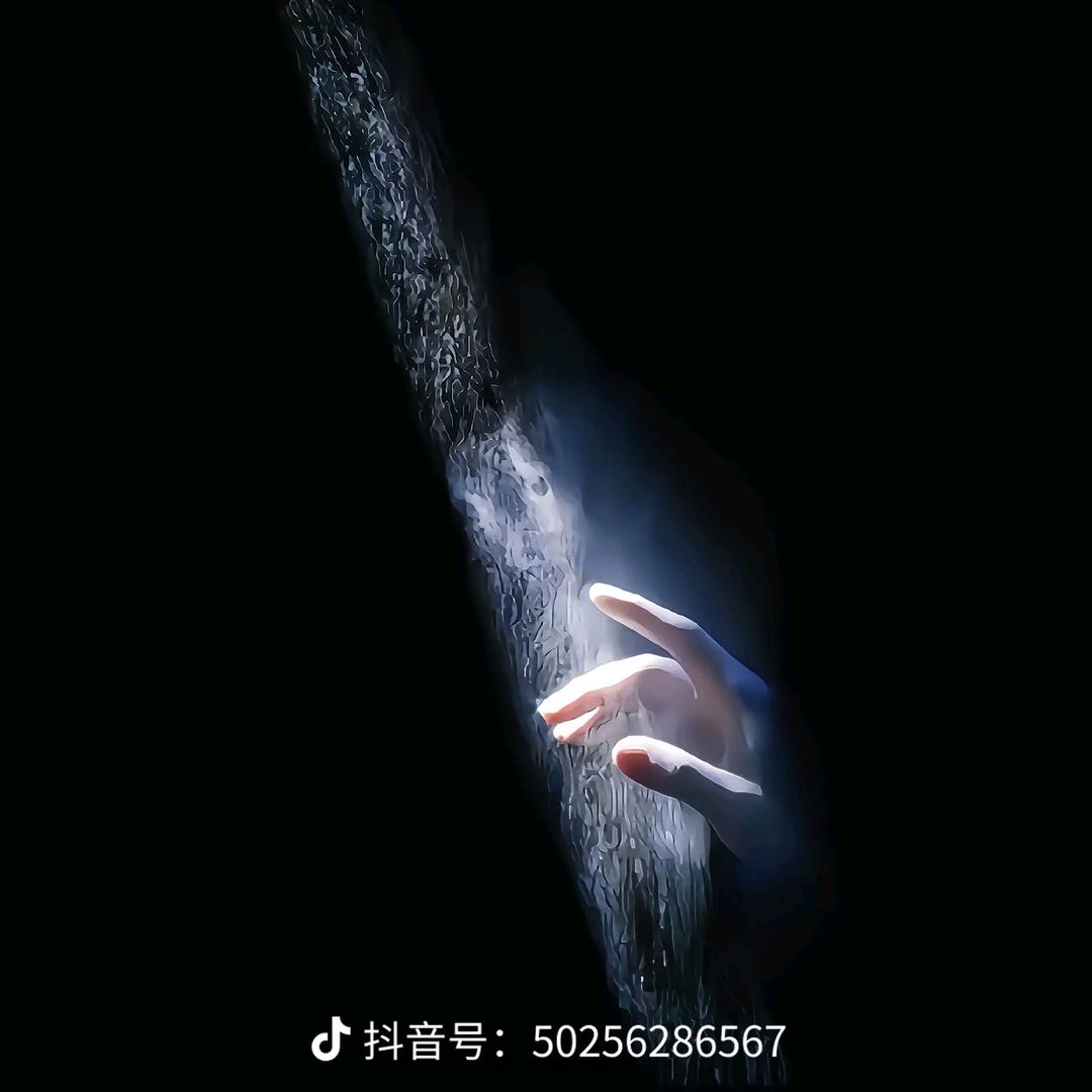 死如秋叶之静美