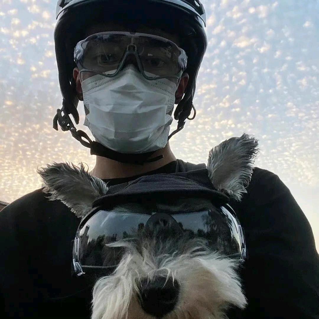 岁鲨ᅠᅠᅠ　　　　  　　　   🪳