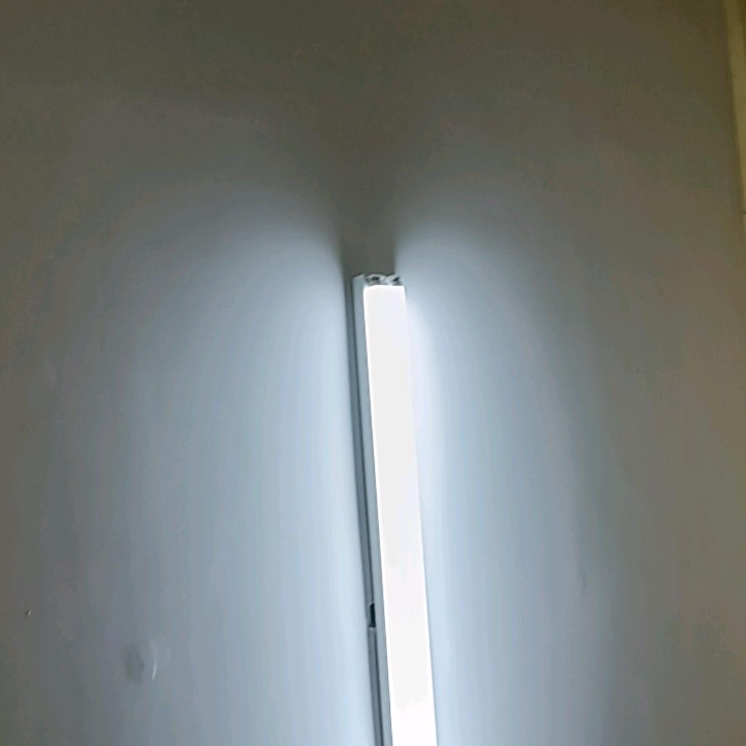 琴魏了