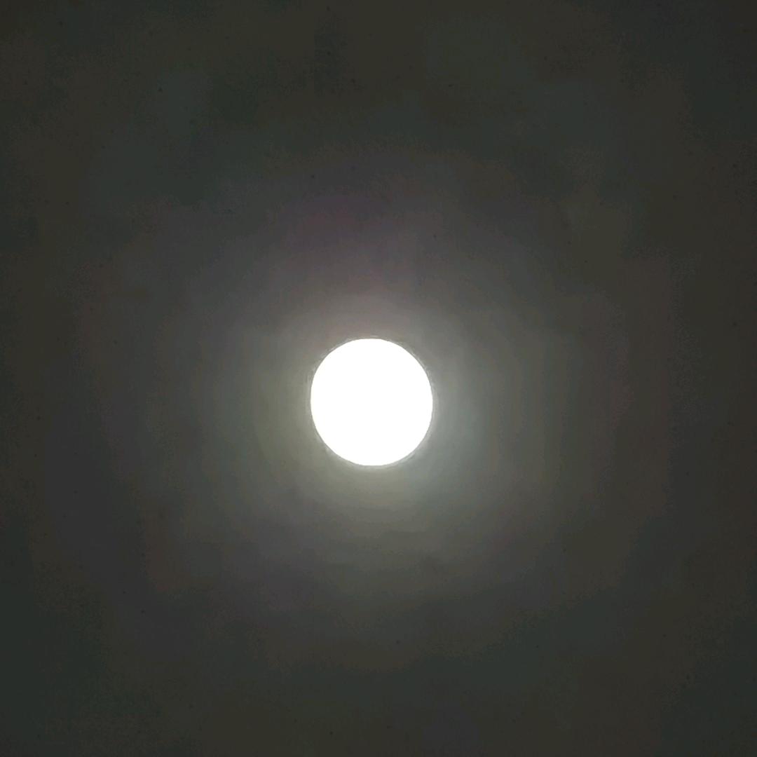 小透明～（杂圈）