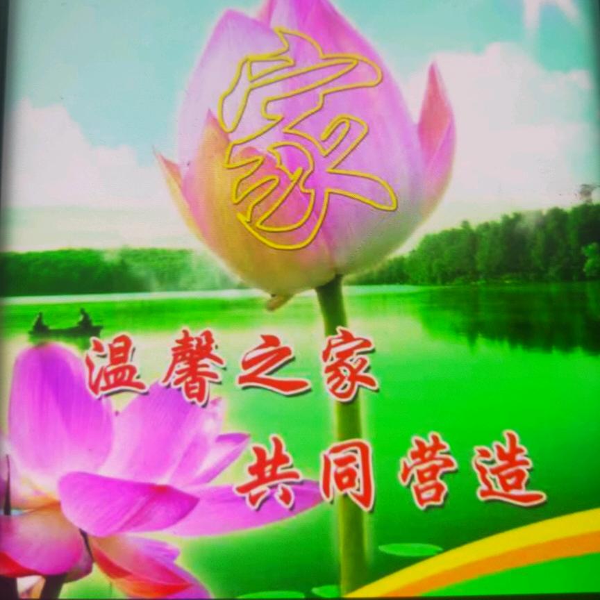 安安讲书语（情感语录……）