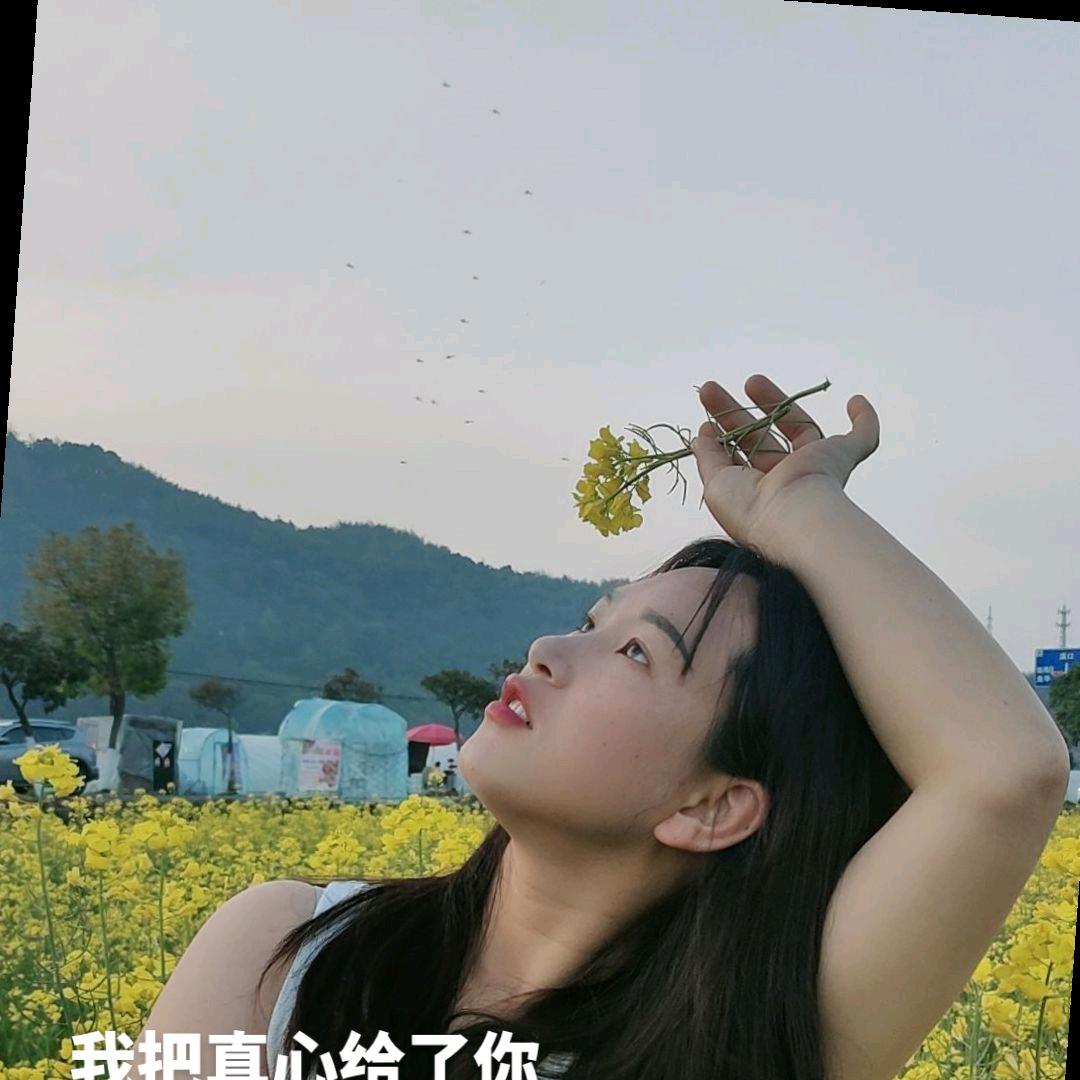 云南      仙仙
