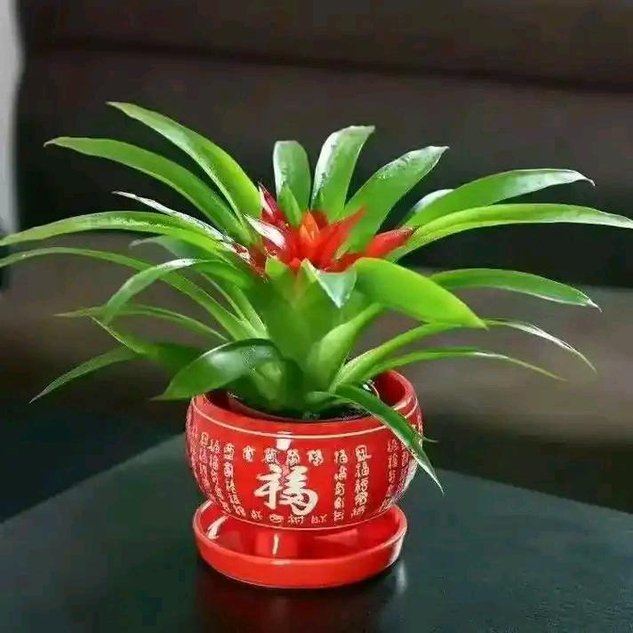 @L临蔡长城门业