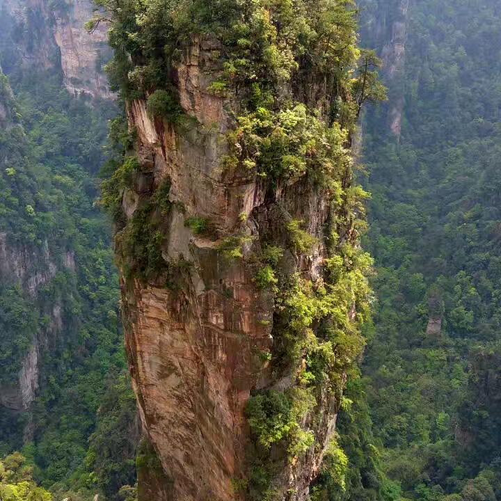 女肙