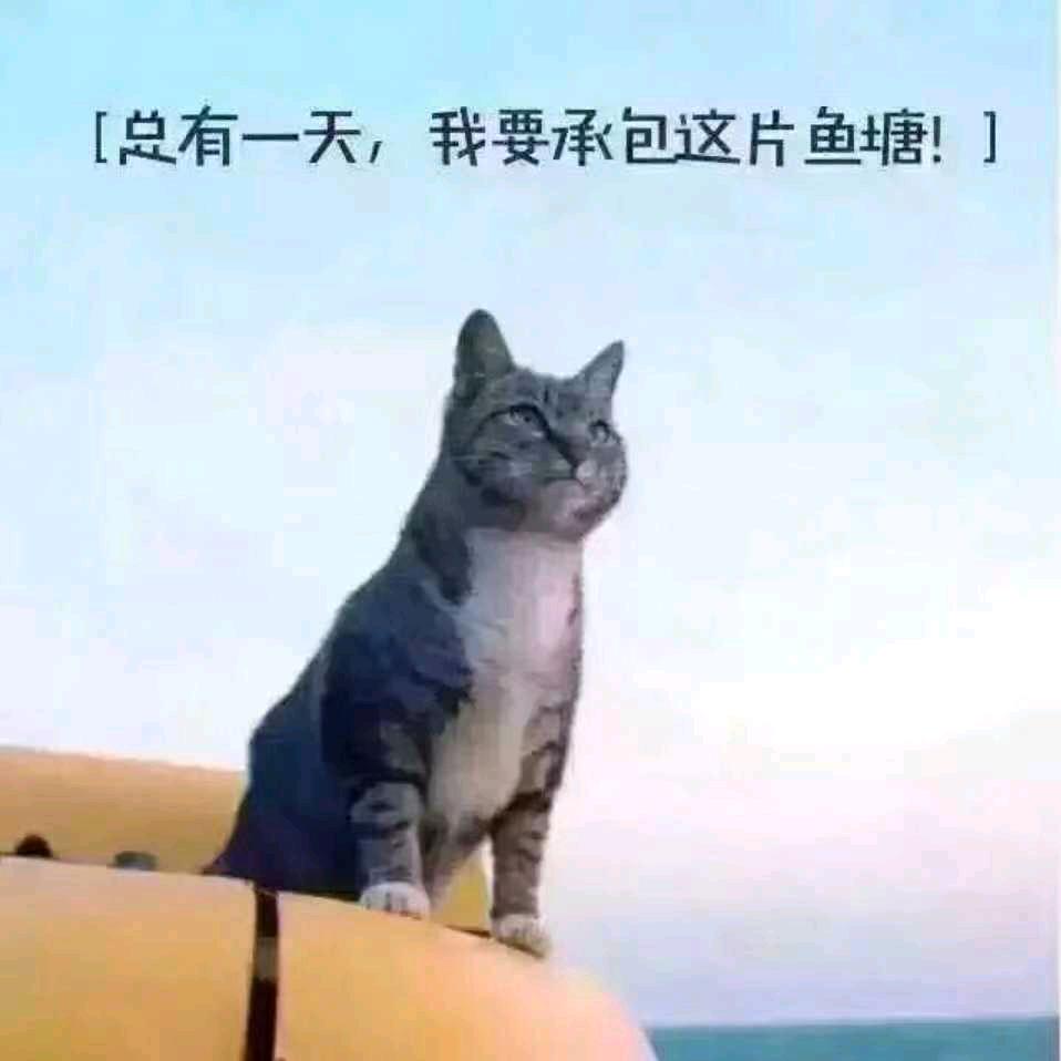 @音你而来