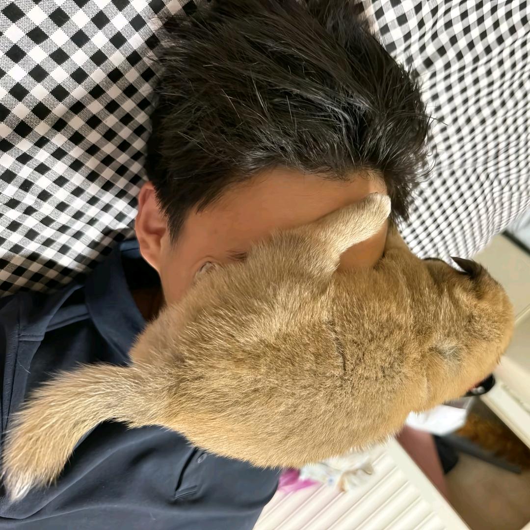 甚至有点想学习