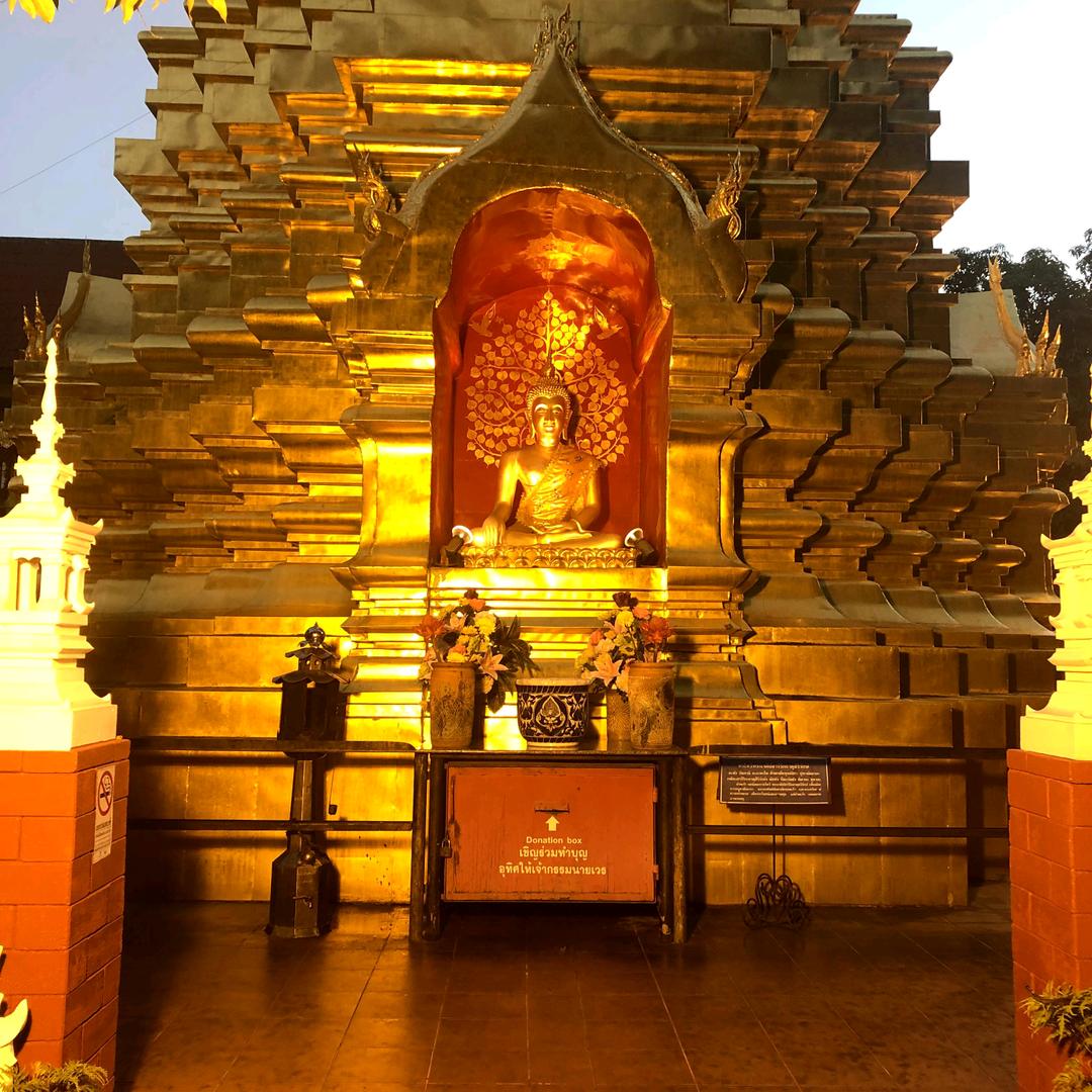 林乐坊器乐文化中心(共享共创社)