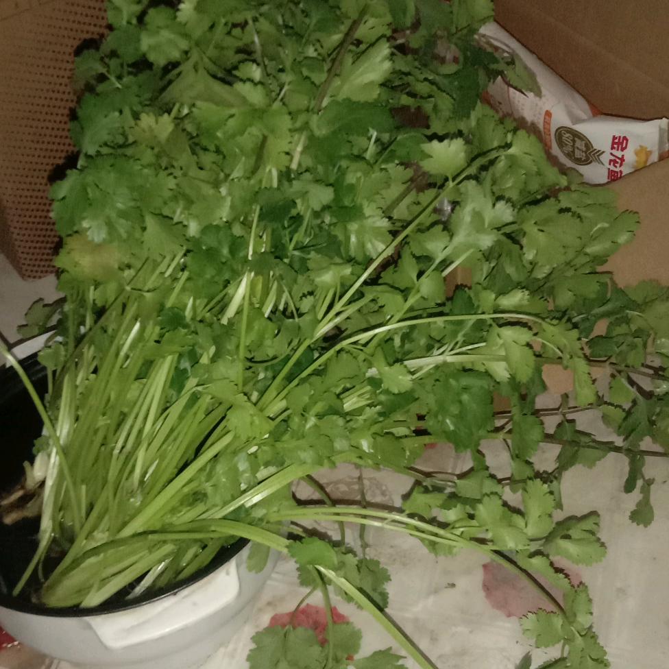 跟着感觉走